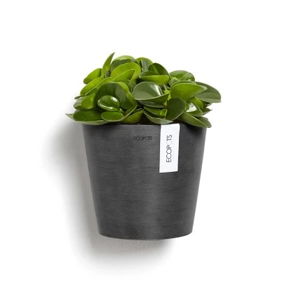 Ecopots Pflanztopf Amsterdam Wall Dunkelgrau 20 cm x 17,5 cm Ecopots Pflanztopf Amsterdam Wall Dunkelgrau 20 Cm X 17,5 Cm -Gartengerätegeschäft 0 AmsterdamWallDarkGrey 03