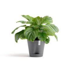 Ecopots Pflanztopf Venice 2 Grau 30 Cm X 26,3 Cm -Gartengerätegeschäft 11012100 Venice230Grey 01