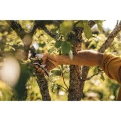 Fiskars Bypass-Gartenschere Plus Power Lever P751 Metall 2 Fiskars Bypass-Gartenschere Plus Power Lever P751 Metall -Gartengerätegeschäft 1395417 4905 2