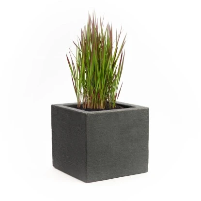 Pflanzwerk® Pflanzkübel Kunststoff Cube 26 cm x 30 cm x 30 cm Anthrazit Pflanzwerk® Pflanzkübel Kunststoff Cube 26 Cm X 30 Cm X 30 Cm Anthrazit -Gartengerätegeschäft 145778 11001500 1