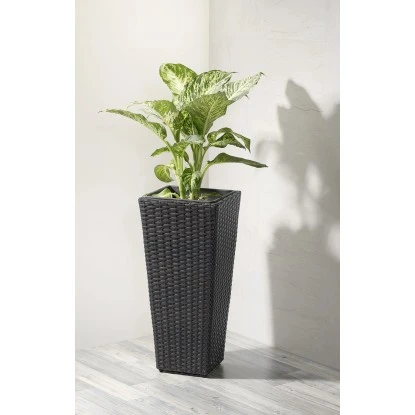 Gartenfreude Pflanzkübel Polyrattan konisch 28 cm x 28 cm Anthrazit Gartenfreude Pflanzkübel Polyrattan Konisch 28 Cm X 28 Cm Anthrazit -Gartengerätegeschäft 159770 4655 pt01