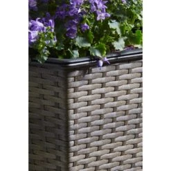 Gartenfreude Balkonkasten 50 Cm X 19 Cm Cappuccino Mit Bewässerungssystem -Gartengerätegeschäft 159794 4655 pt02