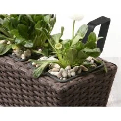 Gartenfreude Balkonkasten Polyrattan 47 Cm X 17 Cm Mocca 2 Stück -Gartengerätegeschäft 159819 4655 pt02