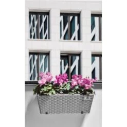 Gartenfreude Balkonkasten Polyrattan Inkl. Aufhängung 47 Cm X 17 Cm Grau 2 Stück -Gartengerätegeschäft 159823 4655 4