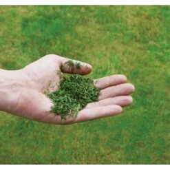 Einhell Benzin-Rasenmäher GC-PM 51/3 S HW-E -Gartengerätegeschäft 171 340487 2171 8073710 08