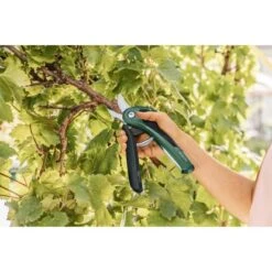 Bosch Akku-Gartenschere EasyPrune 3 Bosch Akku-Gartenschere EasyPrune -Gartengerätegeschäft 2610319 3058 05