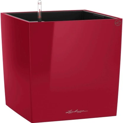 Lechuza Pflanzgefäß Cube Premium 30 cm x 30 cm Scarlet Rot hochglanz Lechuza Pflanzgefäß Cube Premium 30 Cm X 30 Cm Scarlet Rot Hochglanz -Gartengerätegeschäft 261570 4186 1