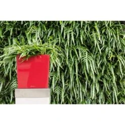 Lechuza Pflanzgefäß Cube Premium 30 Cm X 30 Cm Scarlet Rot Hochglanz 2 Lechuza Pflanzgefäß Cube Premium 30 Cm X 30 Cm Scarlet Rot Hochglanz -Gartengerätegeschäft 261570 4186 3
