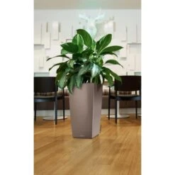 Lechuza Pflanzgefäß Cubico Premium 22 Cm X 22 Cm Espresso Metallic 2 Lechuza Pflanzgefäß Cubico Premium 22 Cm X 22 Cm Espresso Metallic -Gartengerätegeschäft 261694 4186 3