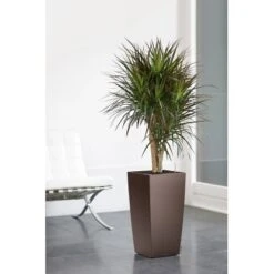 Lechuza Pflanzgefäß Cubico Premium 22 Cm X 22 Cm Espresso Metallic 3 Lechuza Pflanzgefäß Cubico Premium 22 Cm X 22 Cm Espresso Metallic -Gartengerätegeschäft 261694 4186 4