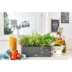 Lechuza Pflanzgefäß Cube Color Triple 40 Cm X 14 Cm X 14 Cm Schiefergrau -Gartengerätegeschäft 262642 4186 4