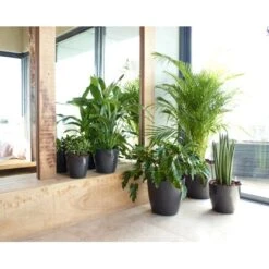 Artevasi Übertopf San Remomit Rollen Ø 30 Cm Weiß -Gartengerätegeschäft 2629 SANREMOGLNZEND 2629 1