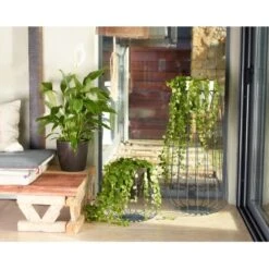 Artevasi Übertopf San Remomit Rollen Ø 30 Cm Weiß -Gartengerätegeschäft 2629 SANREMOGLNZEND 2629 3