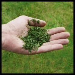 Einhell Power X-Change Akku-Rasenmäher GE-CM 36/48 Li M-Solo 6 Einhell Power X-Change Akku-Rasenmäher GE-CM 36/48 Li M-Solo -Gartengerätegeschäft 4006825660654 2171 07 1