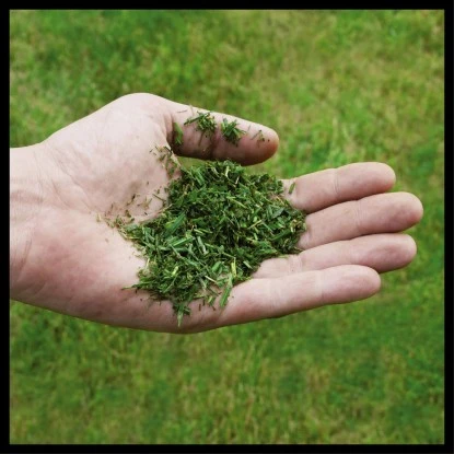 Einhell Power X-Change Akku-Rasenmäher GE-CM 36/48 Li M-Solo Einhell Power X-Change Akku-Rasenmäher GE-CM 36/48 Li M-Solo -Gartengerätegeschäft 4006825660654 2171 07 1