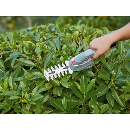 CMI Akku-Gras- und Strauchscherenset C-AGS-3.6/10 CMI Akku-Gras- Und Strauchscherenset C-AGS-3.6/10 -Gartengerätegeschäft 4007872345686 A02 210920