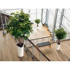 Lechuza Pflanzgefäß Delta Premium Ø 30 Cm X 56 Cm Weiß Hochglanz -Gartengerätegeschäft 4008789155009 4186 8