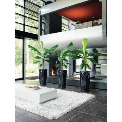 Lechuza Pflanzsäule Diamante Premium Schwarz Hochglanz Ø 40 cm Bewässerungssys. Lechuza Pflanzsäule Diamante Premium Schwarz Hochglanz Ø 40 Cm Bewässerungssys. -Gartengerätegeschäft 4008789157096 4186 04