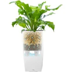 Pflanzwerk® Pflanzkübel Square 19 Cm X 10 Cm X 10 Cm Shiny Weiß 4 Pflanzwerk® Pflanzkübel Square 19 Cm X 10 Cm X 10 Cm Shiny Weiß -Gartengerätegeschäft 4250871645558 11001500 5