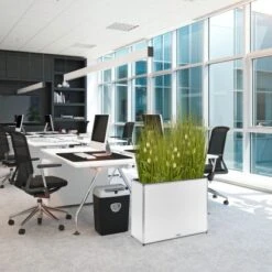 Amare Blumentopf Pur Fiberglas Design 28 Cm X 80 Cm X 61 Cm Weiß 7 Amare Blumentopf Pur Fiberglas Design 28 Cm X 80 Cm X 61 Cm Weiß -Gartengerätegeschäft 4251083908455 4655 8