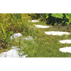 Einhell Akku-Gras- Und Strauchschere GC-CG 3,6 Li 6 Einhell Akku-Gras- Und Strauchschere GC-CG 3,6 Li -Gartengerätegeschäft 508839 2171 7