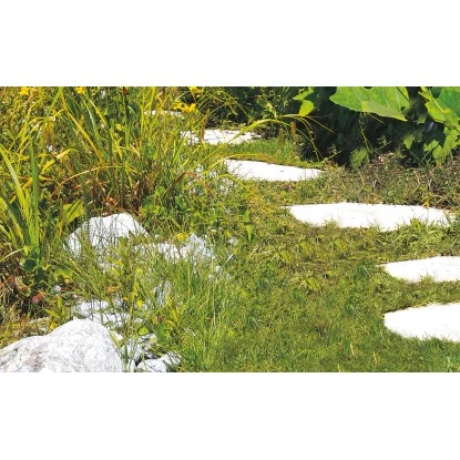 Einhell Akku-Gras- und Strauchschere GC-CG 3,6 Li Einhell Akku-Gras- Und Strauchschere GC-CG 3,6 Li -Gartengerätegeschäft 508839 2171 7