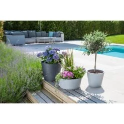 Scheurich Pflanzschale C-Cone Ø 39 Cm Stony Black -Gartengerätegeschäft 531578 4357 239 40 3