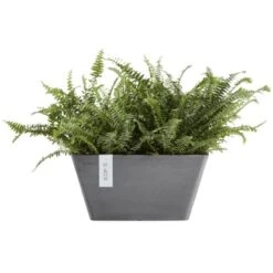 Ecopots Pflanzschale Berlin Grau 41 Cm -Gartengerätegeschäft 5413724300731 11012100 03