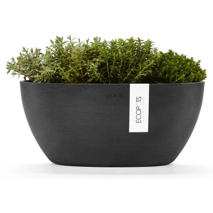 Ecopots Pflanztopf Sofia+WasBeh Dunkelgrau 30 cm Ecopots Pflanztopf Sofia+WasBeh Dunkelgrau 30 Cm -Gartengerätegeschäft 5413724307051 11012100 03