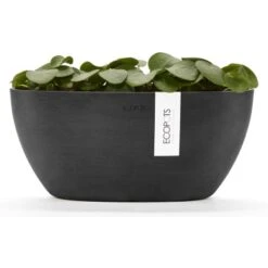 Ecopots Pflanztopf Sofia+WasBeh Dunkelgrau 30 Cm 3 Ecopots Pflanztopf Sofia+WasBeh Dunkelgrau 30 Cm -Gartengerätegeschäft 5413724307051 11012100 04