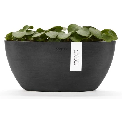 Ecopots Pflanztopf Sofia+WasBeh Dunkelgrau 30 cm Ecopots Pflanztopf Sofia+WasBeh Dunkelgrau 30 Cm -Gartengerätegeschäft 5413724307051 11012100 04