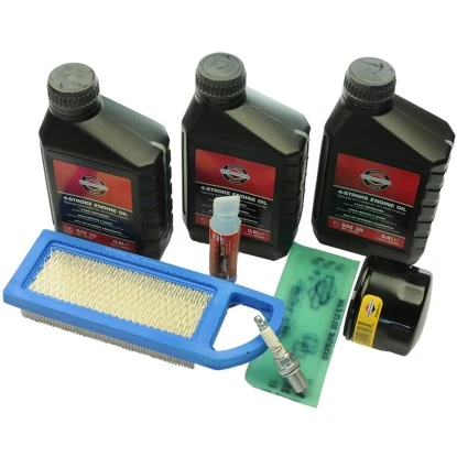 Wartungs-Kit Briggs & Stratton Wartungs-Kit Briggs & Stratton -Gartengerätegeschäft 551565 1159 1