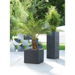 Scheurich Pflanzgefäß C-Cube High Ø 26 Cm StonyBlack -Gartengerätegeschäft 6044770 4357 240 70 3