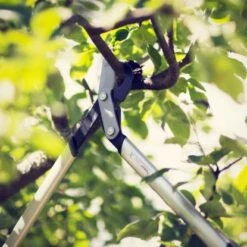 Fiskars Bypass-Getriebeastschere PowerGearX LX94-M 4 Fiskars Bypass-Getriebeastschere PowerGearX LX94-M -Gartengerätegeschäft 6088561 A04