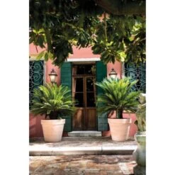 Deroma Pflanztopf Magno Ø 60 Cm White 3 Deroma Pflanztopf Magno Ø 60 Cm White -Gartengerätegeschäft 726232524137 3832 4