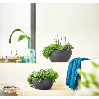 Lechuza Pflanzgefäß Cubeto Stone 30 Graphitschwarz Ø 30 cm Lechuza Pflanzgefäß Cubeto Stone 30 Graphitschwarz Ø 30 Cm -Gartengerätegeschäft 754216 4186 3