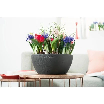 Lechuza Pflanzgefäß Cubeto Stone 30 Graphitschwarz Ø 30 cm Lechuza Pflanzgefäß Cubeto Stone 30 Graphitschwarz Ø 30 Cm -Gartengerätegeschäft 754216 4186 4