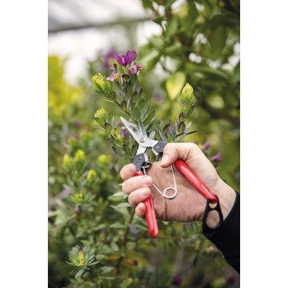 Felco Ernte- und Leseschere 322 mit Stahlgriffen 19 cm Felco Ernte- Und Leseschere 322 Mit Stahlgriffen 19 Cm -Gartengerätegeschäft 783929102061 4199 A 02