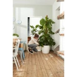 Elho Blumentopf Brussels Rund Mit Rollen Ø 35 Weiß 2 Elho Blumentopf Brussels Rund Mit Rollen Ø 35 Weiß -Gartengerätegeschäft 8360893 4667 3