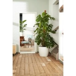 Elho Blumentopf Brussels Rund Mit Rollen Ø 35 Weiß 3 Elho Blumentopf Brussels Rund Mit Rollen Ø 35 Weiß -Gartengerätegeschäft 8360893 4667 4