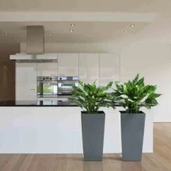 Siena Garden Pflanzgefäß Modern Lyon Anthrazit 35x35x68,0 Cm 5 Siena Garden Pflanzgefäß Modern Lyon Anthrazit 35x35x68,0 Cm -Gartengerätegeschäft 8630329 1346 6