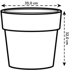 Elho Blumentopf B.for Original Mit Rollen Ø 35 Cm Weiß 3 Elho Blumentopf B.for Original Mit Rollen Ø 35 Cm Weiß -Gartengerätegeschäft 8711904331535 4667 04