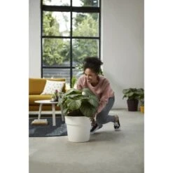 Elho Blumentopf B.for Original Mit Rollen Ø 35 Cm Weiß 6 Elho Blumentopf B.for Original Mit Rollen Ø 35 Cm Weiß -Gartengerätegeschäft 8711904331535 4667 07