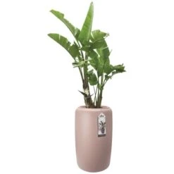 Elho Übertopf Pure Beads Large Ø 39,2 Cm Kieselrosa -Gartengerätegeschäft 8711904350284 4667 05