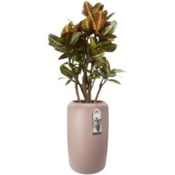 Elho Übertopf Pure Beads Large Ø 39,2 Cm Kieselrosa -Gartengerätegeschäft 8711904350284 4667 06