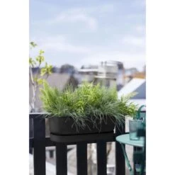 Elho Übertopf Greenville Easy Balcony 19,4 Cm X 52 Cm Living Schwarz -Gartengerätegeschäft 8711904496395 4667 03