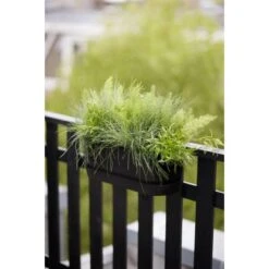 Elho Übertopf Greenville Easy Balcony 19,4 Cm X 52 Cm Living Schwarz -Gartengerätegeschäft 8711904496395 4667 09