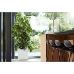 Elho Pflanztopf Vivo Matt Mit Rollen 39 Cm X 39 Cm X 41 Cm Weiß 3 Elho Pflanztopf Vivo Matt Mit Rollen 39 Cm X 39 Cm X 41 Cm Weiß -Gartengerätegeschäft 9345455 4667 4