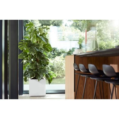 Elho Pflanztopf vivo matt mit Rollen 39 cm x 39 cm x 41 cm weiß Elho Pflanztopf Vivo Matt Mit Rollen 39 Cm X 39 Cm X 41 Cm Weiß -Gartengerätegeschäft 9345455 4667 4