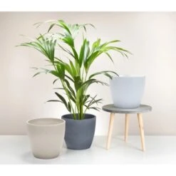 Scheurich Übertopf 920 Ø 25 Cm X 23 Cm Dark Stone -Gartengerätegeschäft 949973 2266 3